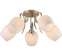 Люстра Rivoli Ofelia 9084305 5хЕ27 40 Вт модерн, Б0052684