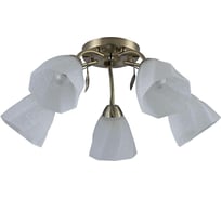 Люстра Rivoli Olivia 9088305 5хЕ27 40 Вт модерн, Б0052693