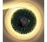 Лента светодиодная General Lighting Systems GLS-2835-120-9.6-12-IP20-3 3000К-тепло-белый свет 120диод/м 9,6Вт/м 12В IP20 катушка 50м 501060 2