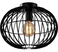 Потолочный светильник Rivoli Livia 5094201 1хЕ27 40 Вт лофт кантри для натяжных потолков, Б0053053