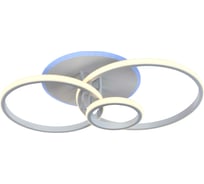 Потолочный светильник Rivoli Reinhild 6085103 светодиодный с пультом 61Вт 8 Вт 4000-6000К LED, Б0052401