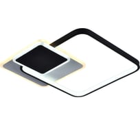 Потолочный светильник Rivoli Andrea 6081108 светодиодный с пультом 62 Вт 4000-6000К LED модерн, Б0052415