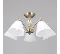 Потолочная люстра ILLUMICO IL0900-5CSQ-26 AB ELITE