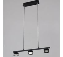 Подвесной светильник ReLuce 79490-0.4-03 Black