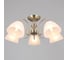Потолочная люстра ILLUMICO IL0897-5CSQ-26 AB ELITE 1