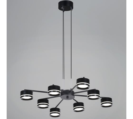 Подвесная люстра ReLuce 19490-0.4-4+4 Black
