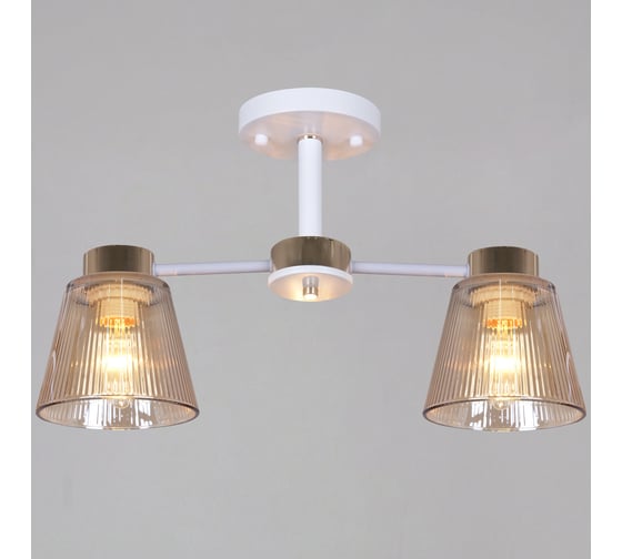 Потолочная люстра ReLuce 20560-0.3-02 WH+FG
