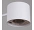 Потолочная люстра ReLuce 47206-0.3-06WT 3