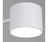 Потолочная люстра ReLuce 47206-0.3-06WT 5