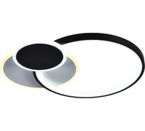 Потолочный светильник Rivoli Julia 6080108 светодиодный с пультом 52 Вт 4000-6000К LED модерн, Б0052414