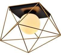 Потолочный светильник Rivoli Raila 4098-201 1хЕ14 40 Вт дизайн для натяжных потолков, Б0053044