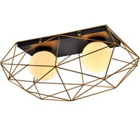 Потолочный светильник Rivoli Raila 4098-312 2хЕ14 40 Вт дизайн для натяжных потолков, Б0053046