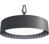 Светильник FEREKS Wheel/205/Д/850/01/P/230AC IP65 Em1 WH205-1252-514-1756095
