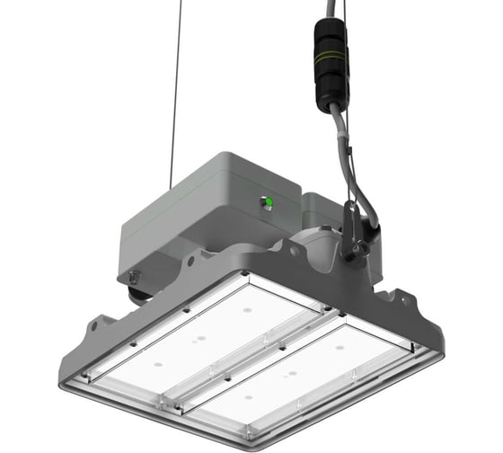 Светильник LEDEL L-pixel 1 Em/50/Г30/740/R5/05/I1-D1 IP66 PX50-24116-524-1281