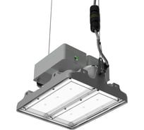 Светильник LEDEL L-pixel 1 Em/50/Г60/740/R5/05/I1-D1 IP66 PX50-34116-524-1281