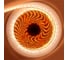 Лента светодиодная General Lighting Systems GLS-2835-180-14.4-24-IP20-PRM-3 катушка 5м 502146 2