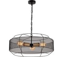 Люстра Rivoli Ermentrud 5086-203 3хЕ27 40 Вт лофт - кантри, Б0052456