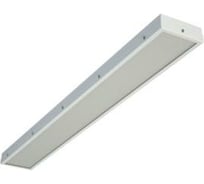 Светильник TECHNOLUX TL135 TG EM1 IP54 T5 G5 ЭПРА авар.блок 1 час 24225