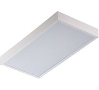 Светильник TECHNOLUX TL224 OL EM T5 G5, IP20, ЭПРА, авар.блок 1 час 09927