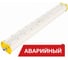 Аварийный светодиодный светильник Diora Piton Pure White (Белый кремовый) DP2Ex48-G90-5K-A RAL 9010 1