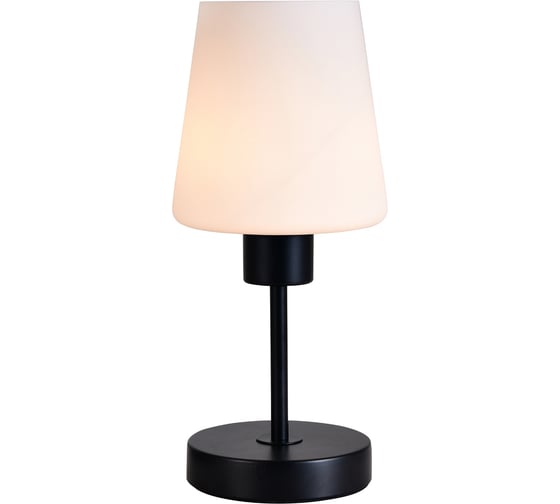 Светильник ESCADA 120004/1T E27*60W Black ES0002707