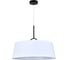 Светильник ESCADA 130001/1P LED*20W Black ES0000015L 2