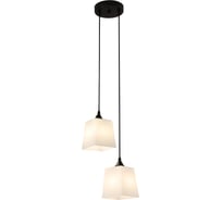Светильник ESCADA 160003/2P E27*60W Black ES0000026