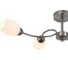 Светильник ESCADA 150007/4R E27*60W Satin nickel ES0000065 3