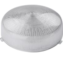 Рассеиватель для светильника TDM ELECTRIC НПП Рондо 100 Вт SQ0321-0406