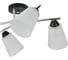 Светильник ESCADA E27*60W Black/Chrome 2132/4P 5