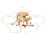 Люстра ESCADA 10265/5 LEDх50 Вт Gold 10265/5LED 1