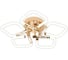 Люстра ESCADA 10265/5 LEDх50 Вт Gold 10265/5LED 3