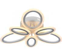 Потолочный светильник Rivoli Kora 6048-106 светодиодный с пультом 96 Вт 3000К-6000К модерн, Б0052650