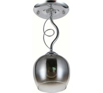 Потолочный светильник Rivoli Lies 9126-201 1хЕ27 60 Вт модерн для натяжных потолков, Б0053416