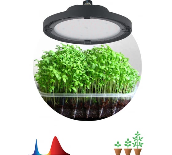 Светодиодный фитопрожектор для растений ЭРА FITO-50W-RB-LED-UFO красно-синего спектра 50 Вт, Б0053280
