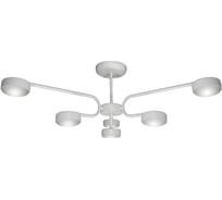 Потолочная люстра ПЕТРАСВЕТ 6 ламп светодиодная S2389-6