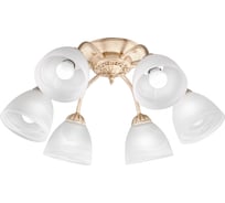 Потолочная люстра ПЕТРАСВЕТ 6 плафонов S2148-6