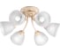 Потолочная люстра ПЕТРАСВЕТ 6 плафонов S2149-6 1