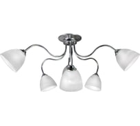 Потолочная люстра ПЕТРАСВЕТ 6 плафонов S2290-6