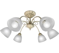 Потолочная люстра ПЕТРАСВЕТ 6 плафонов S2428-6