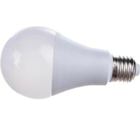Светодиодная лампа RSV -A60-24W-6500K-E27 P 100968