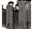 Потолочный светильник LOFT IT Stream 10208/600C Gunmetal 5
