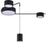 Люстра INDIGO 14028/4С Black V000162L 2