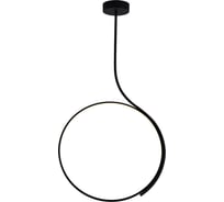Люстра INDIGO 14033/1P Black V000218L