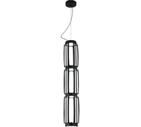 Люстра INDIGO 14027/4P Black V000159L