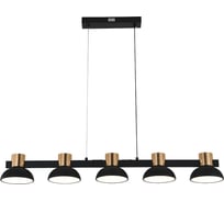 Люстра INDIGO 11059/5PL Black V000184L