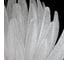 Люстра светодиодная подвесная Citilux DELTORO CL327160 9