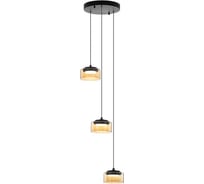Подвесной светильник Citilux ESPACE CL243031
