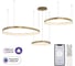 Умная подвесная люстра Citilux GENKA SMART LED CL756A092 2