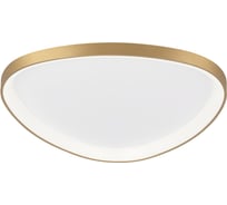 Умная люстра Citilux GENKA SMART LED RGB CL756A162